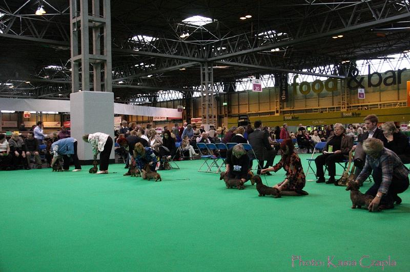 Crufts2011_2 1646.jpg